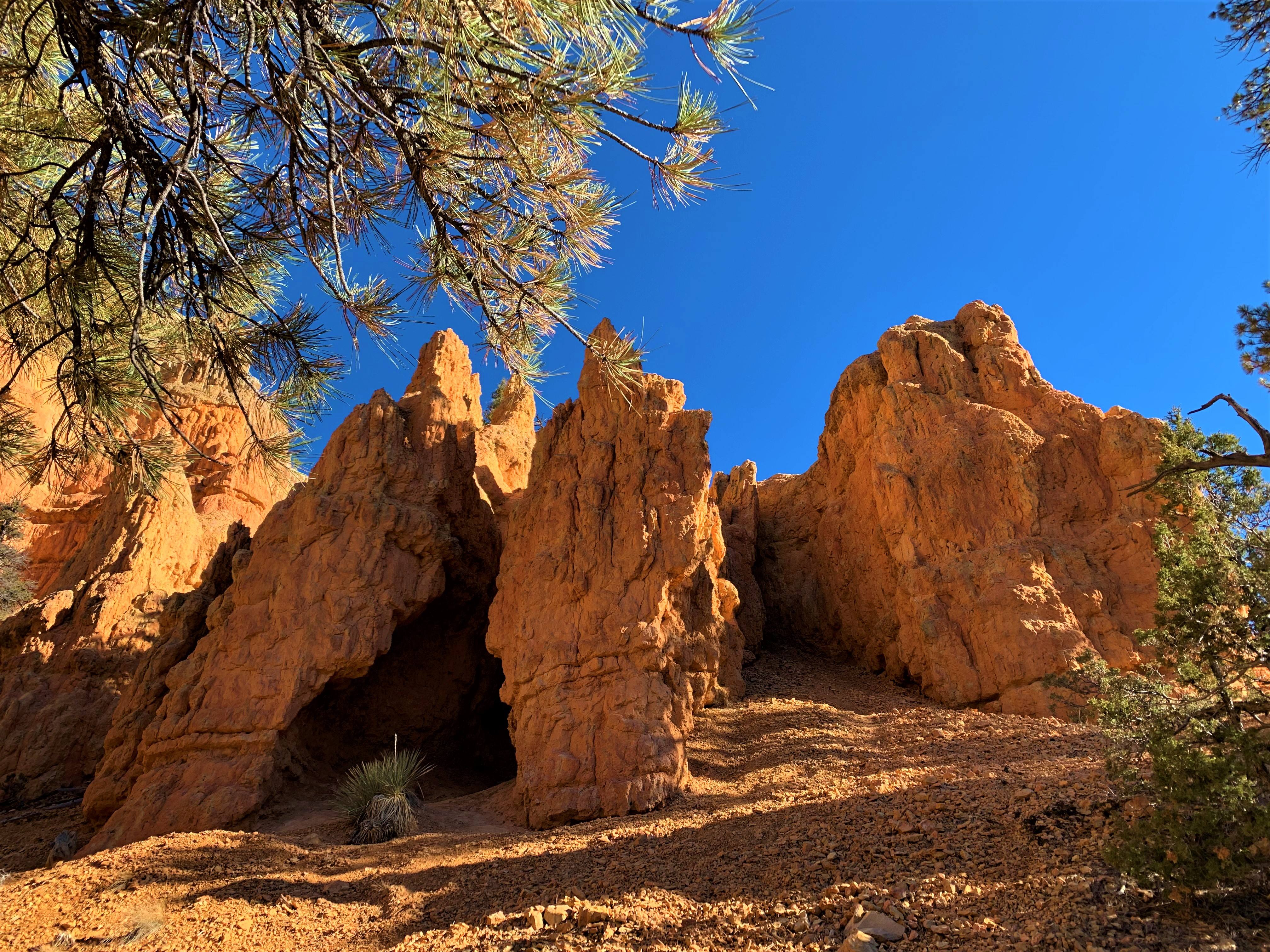 Red Canyon